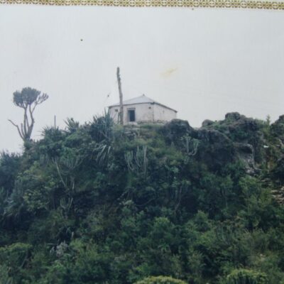 DSC01550
