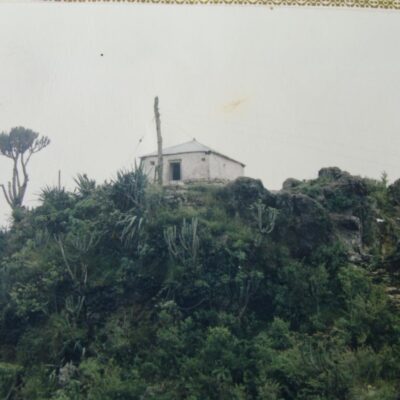 DSC01551